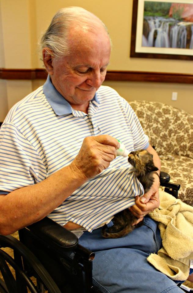 Idosos de Catalina Springs cuidam de gatinhos do Pima County Animal Care Center em iniciativa voluntária para o bem dos dois centros.