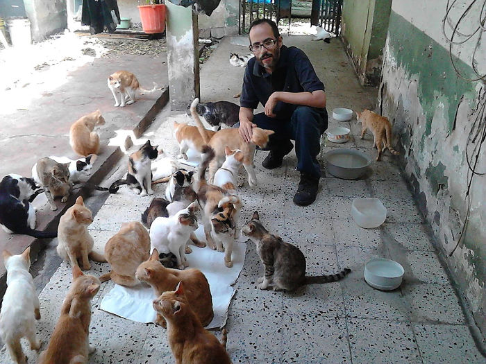 Gatos na Venezuela foram salvos pela família Reinoso e seu santuário para gatos.