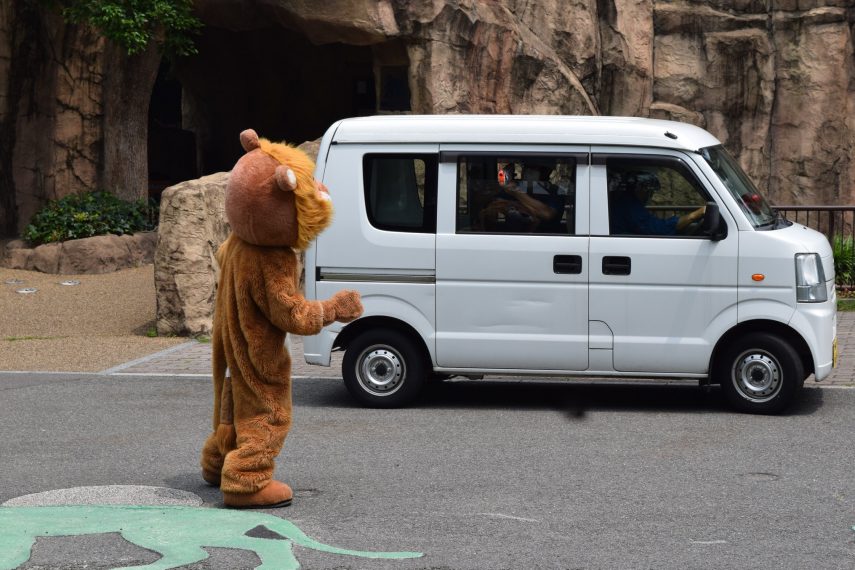 Homem fantasiado de leão protagoniza simulação de fuga em zoológico japonês