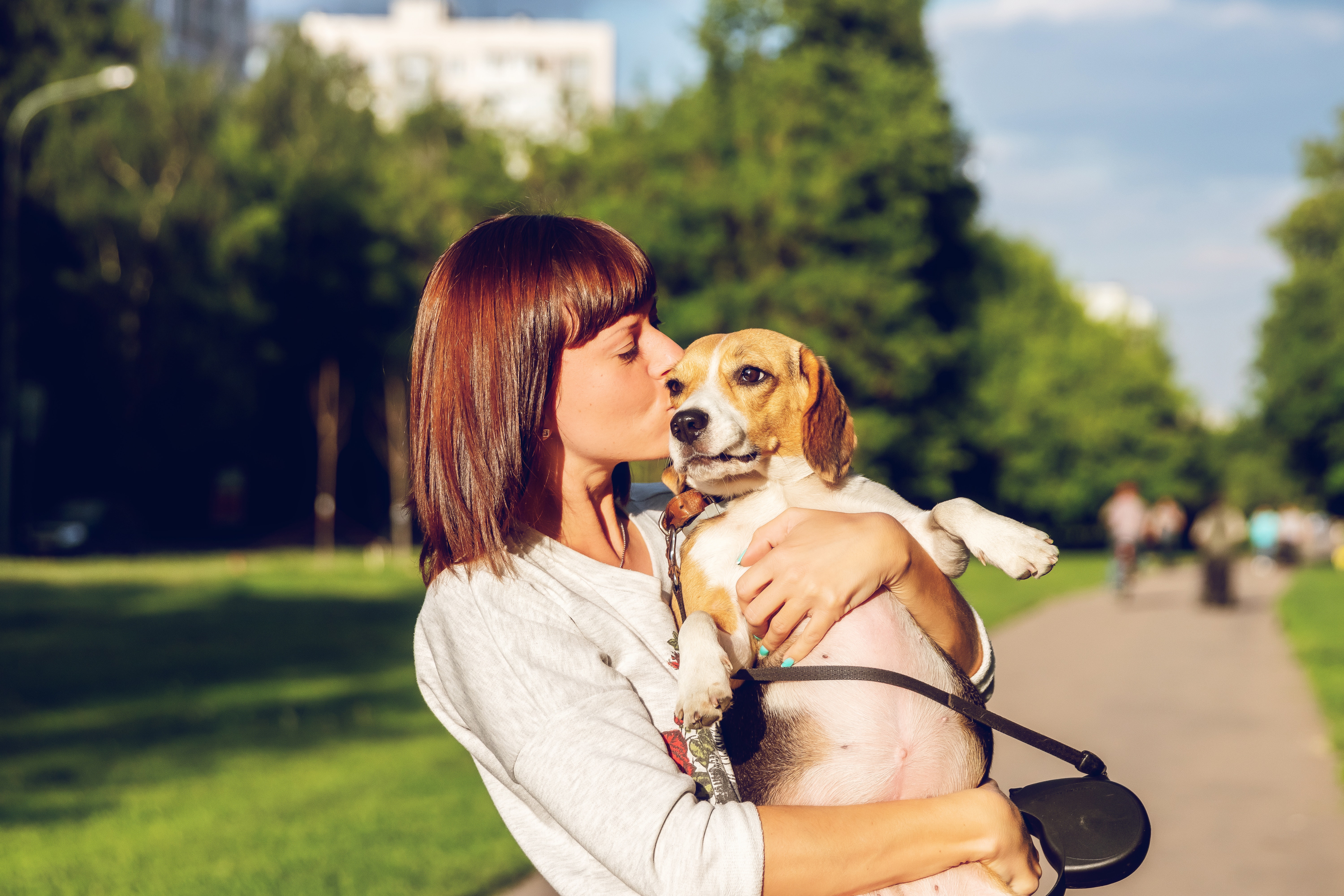 Donos de cães estão dando mais beijos nos pets do que nos parceiros