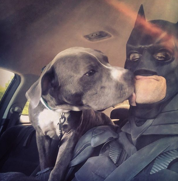Homem se veste de Batman para resgatar animais