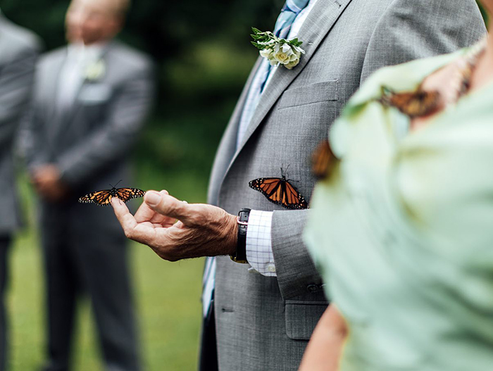 Família solta borboletas em casamento para lembrar irmã do noivo que havia morrido