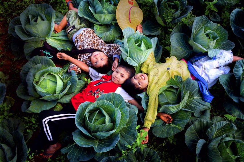 Concurso premia melhores fotos que retratam a diversão