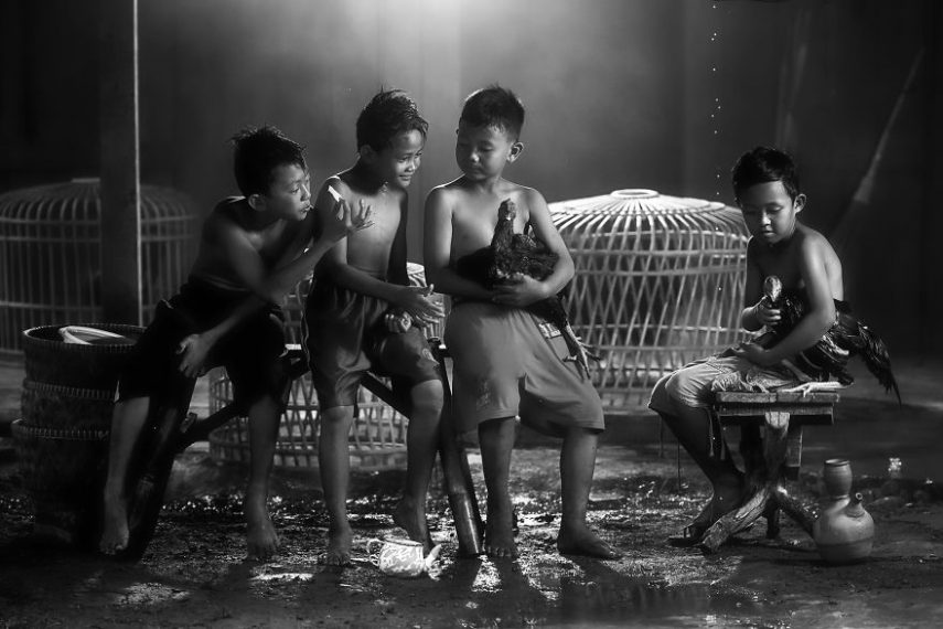 Concurso premia melhores fotos que retratam a diversão