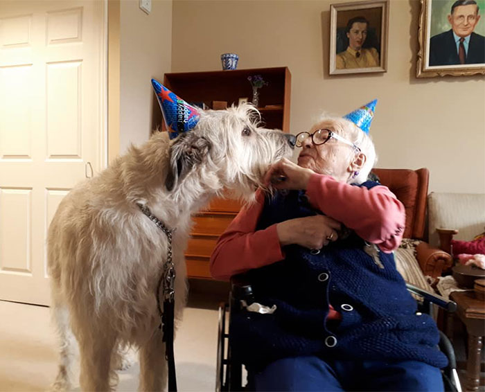 Donos postam fotos para mostrar tamanho do cachorro