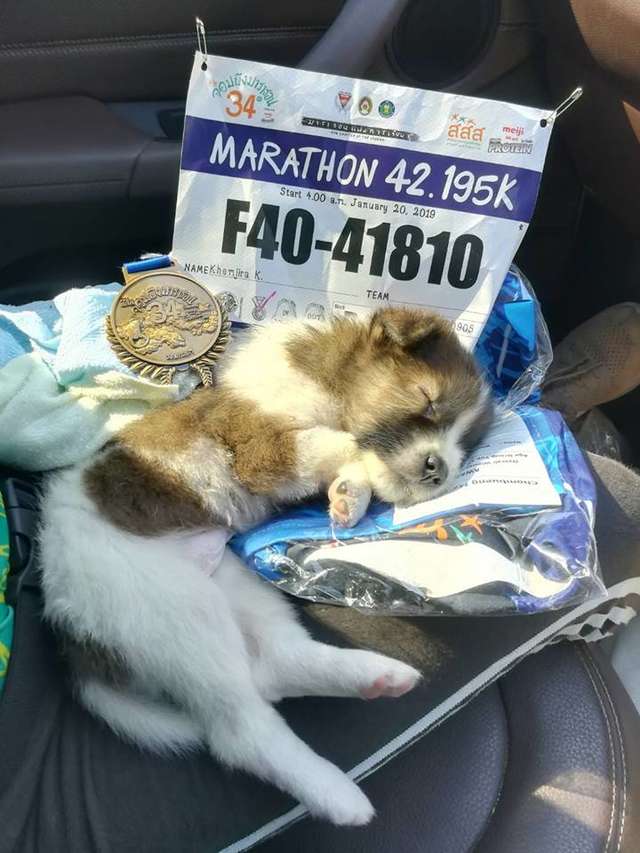 Nom Chom indo para sua nova casa após a corrida.