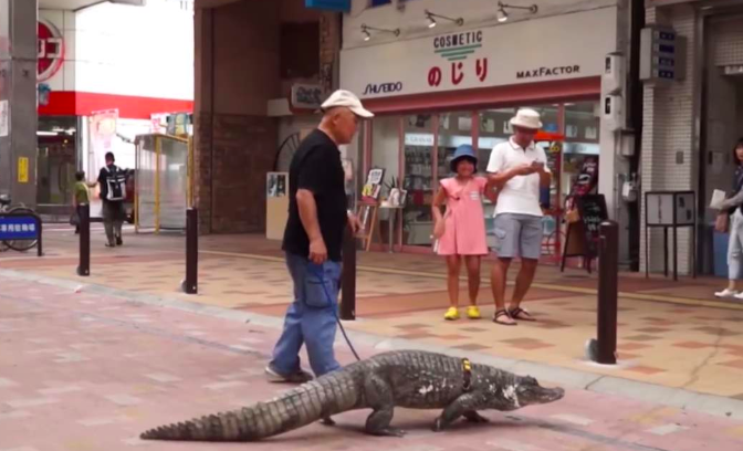 Nobumitsu adotou um crocodilo, que chama de Caiman, para ser seu bichinho de estimação.