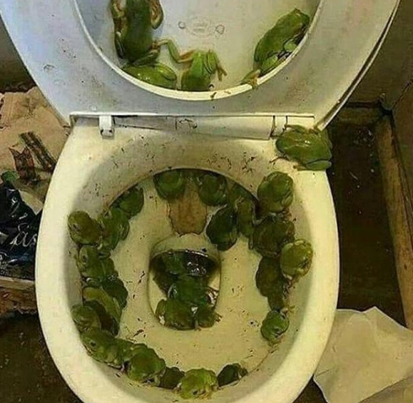 Os melhores piores banheiros do mundo
