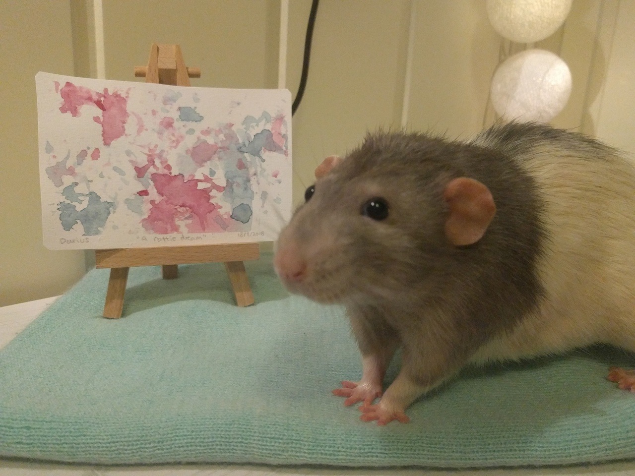 Mulher ensina ratinho de estimação a pintar quadros com patas