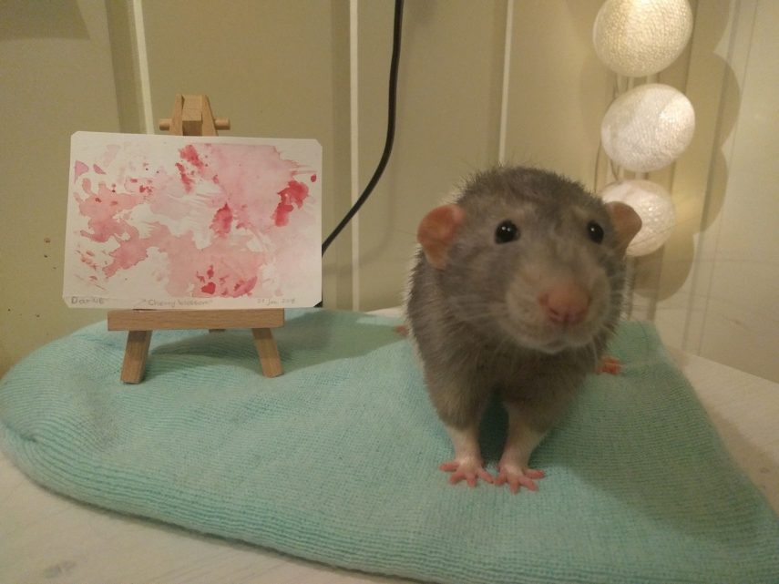 Pet foi treinado pela dona para criar pequenas obras de arte com aquarela