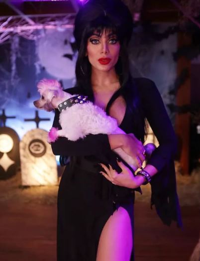 Anitta se fantasia de Elvira e deixa seios de fora em festão de Halloween