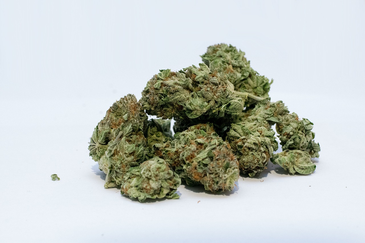 Na Flórida, homem liga para a polícia após ter maconha furtada