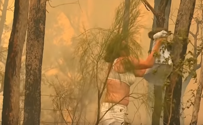 Mulher resgata coala de incêndio florestal