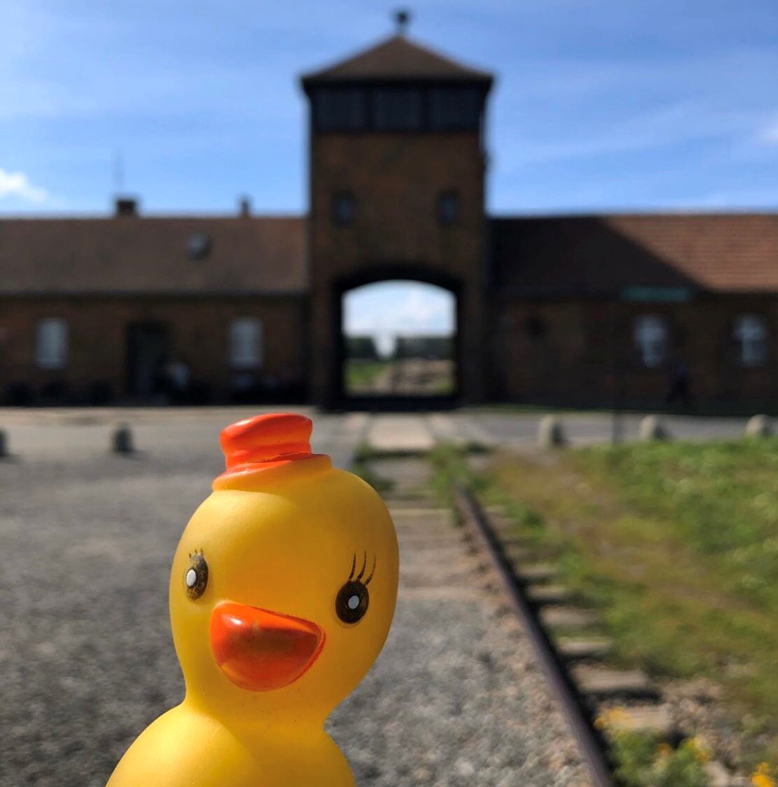 Foto de pato de borracha 'posando' em frente a Auschwitz revolta web