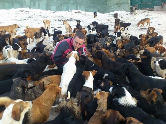Abrigo na Sérvia tem 750 cães