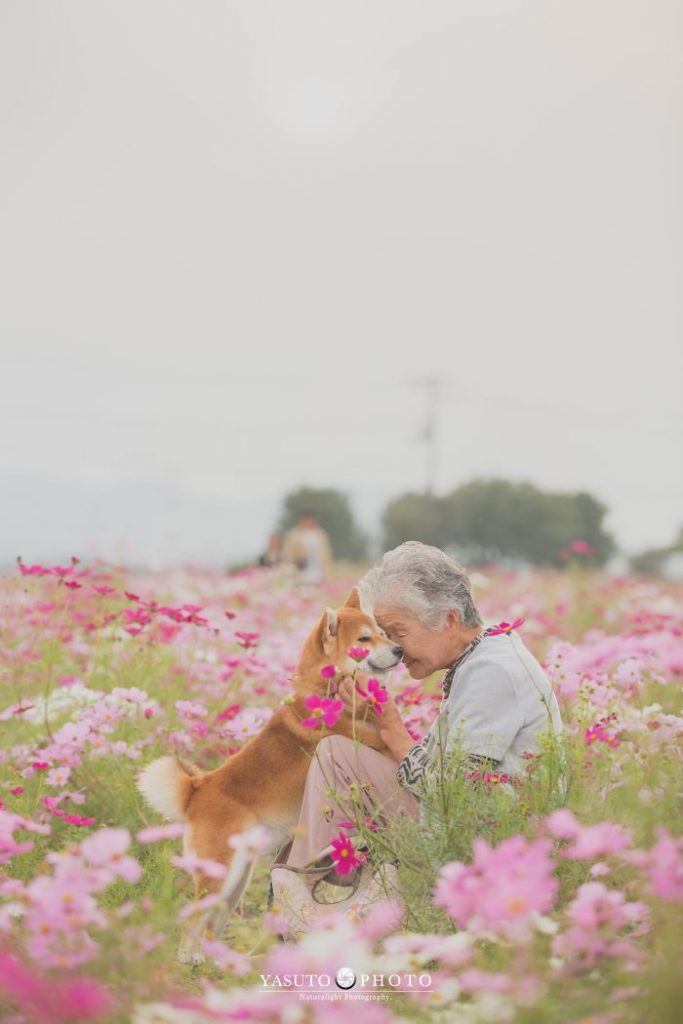 O fotógrafo japonês Yasuto encantou a web ao mostrar a amizade que sua avô criou com o cão de estimação