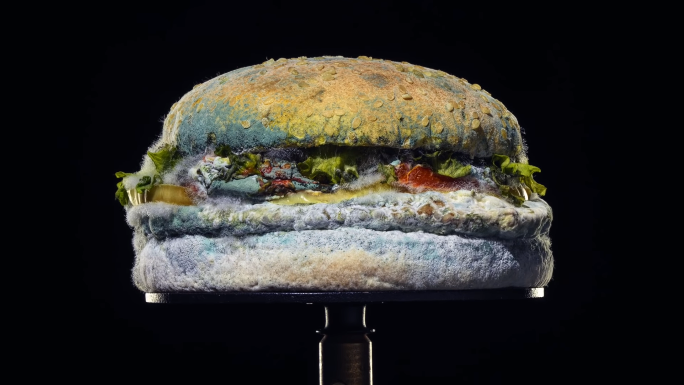 Burguer King mostra lanche após 34 dias em decomposição