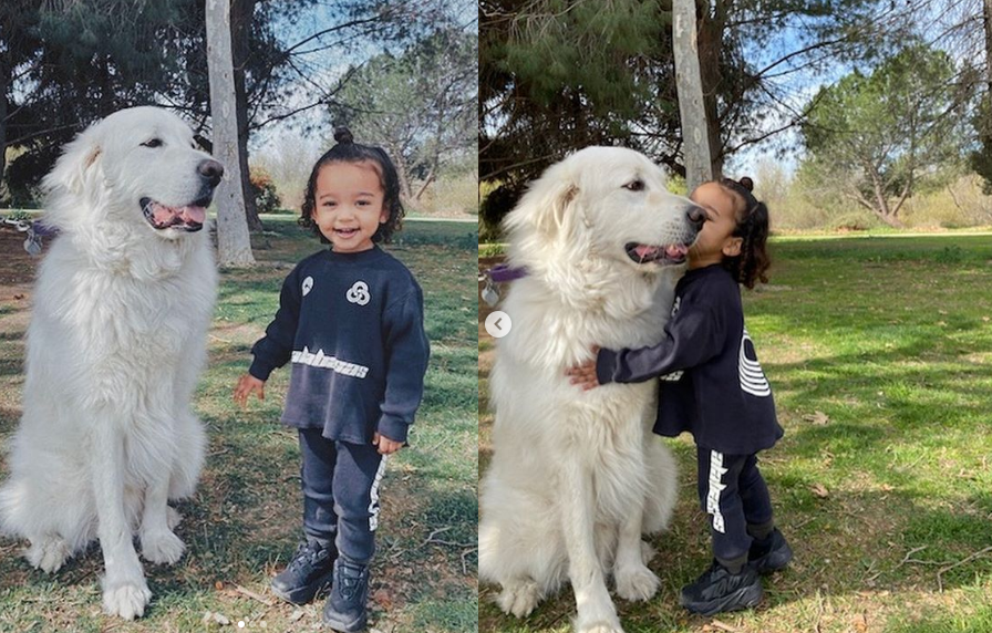 Fofura: Filha de 2 anos de Kim Kardashian é apaixonada por "cachorrinhos"