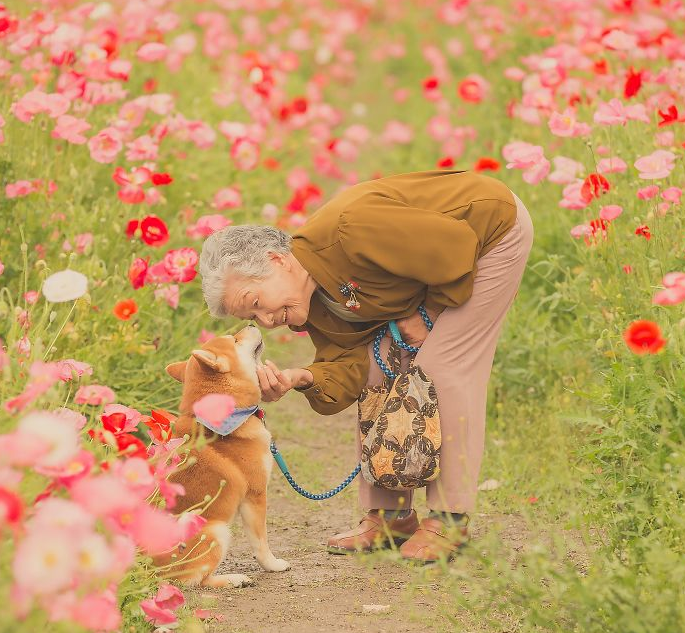 Fotógrafo registra a amizade incrível entre sua avó e o cão de estimação