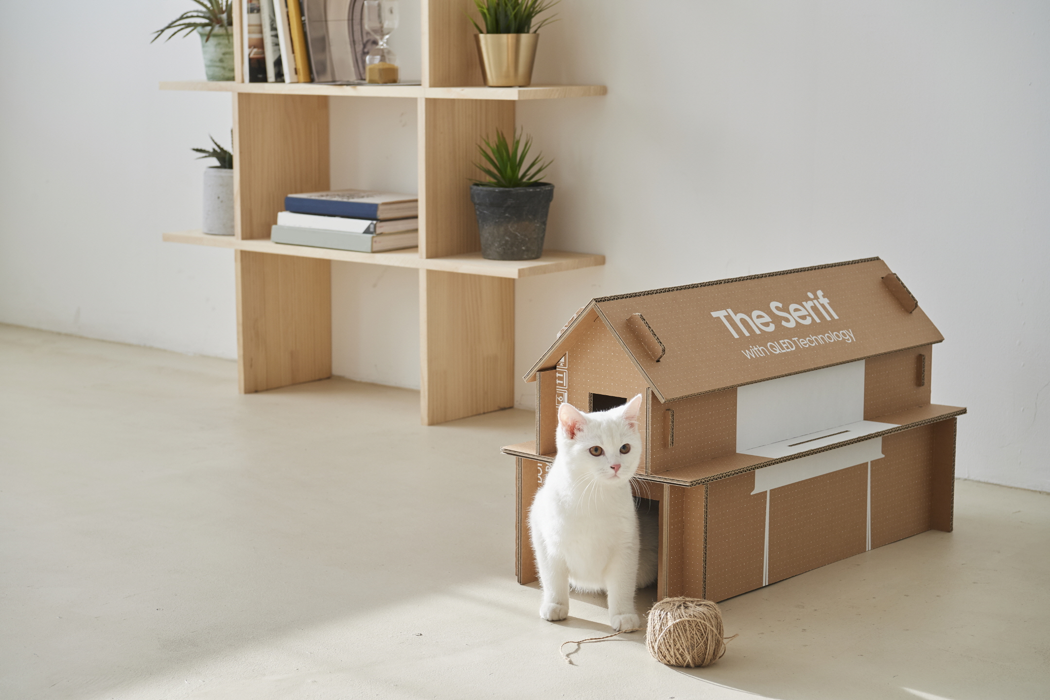 Samsung: novas caixas das TVs poderão ser transformadas em casa de gatos