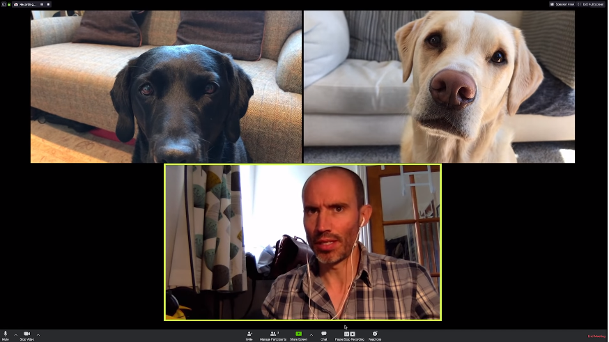 Na onda das videochamadas, jornalista esportivo faz uma com seus cães