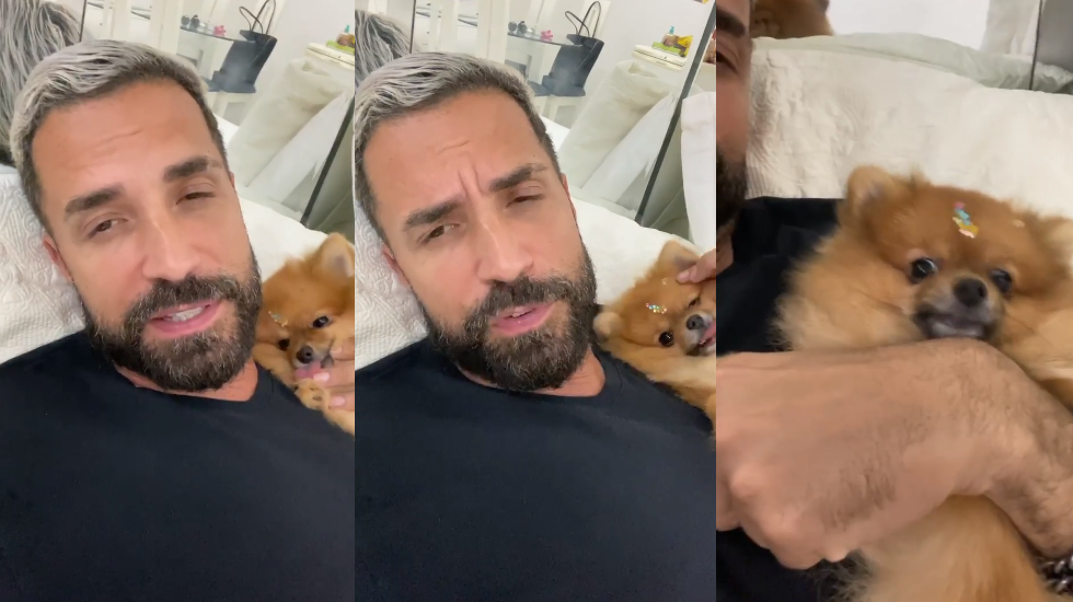 Latino tenta sortear cão de raça no Instagram, é atacado e rebate: "mimimi"