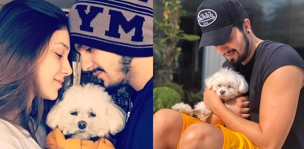 Luan Santana desabafa após morte de seu cachorrinho: "Ainda consigo te ouvir"