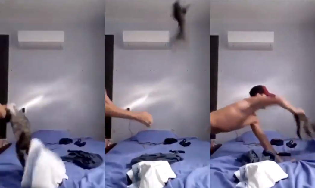 Padre Fábio de Melo pede ajuda para identificar jovem que maltratou gato; assista