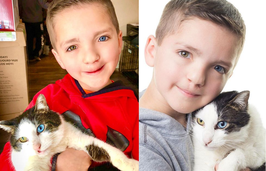 Garoto com lábio leporino e olhos de duas cores adota gatinho "igual a ele"