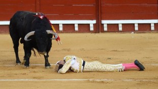 Homem morre após ser chifrado por touro em festival na Espanha