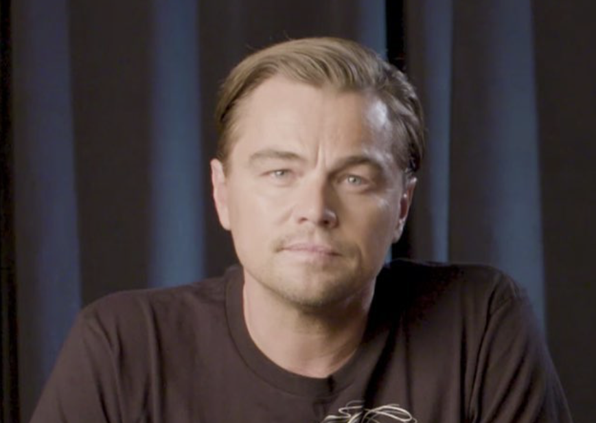 “Stay Wild”: Leonardo DiCaprio produzirá nova série sobre o meio ambiente