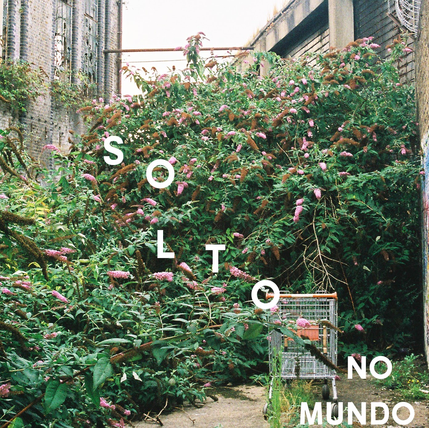 Leo Bianchini lança “Solto no Mundo” e anuncia álbum solo