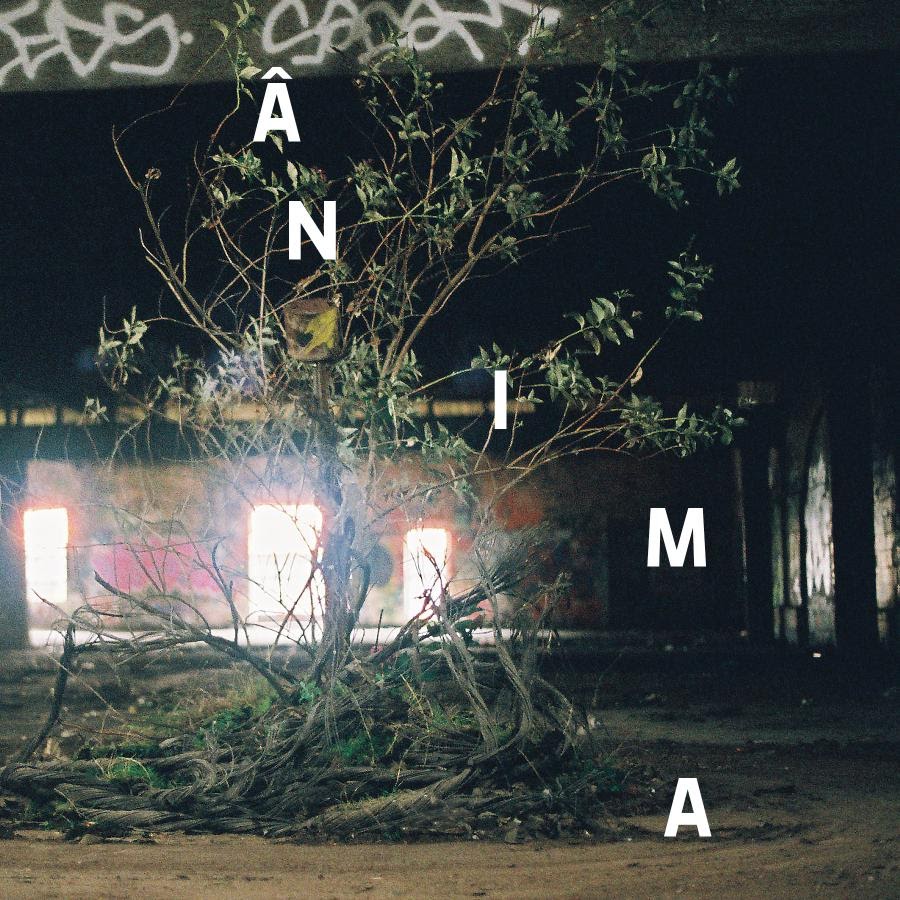 Leo Bianchini adianta seu novo álbum com o single “Ânima”