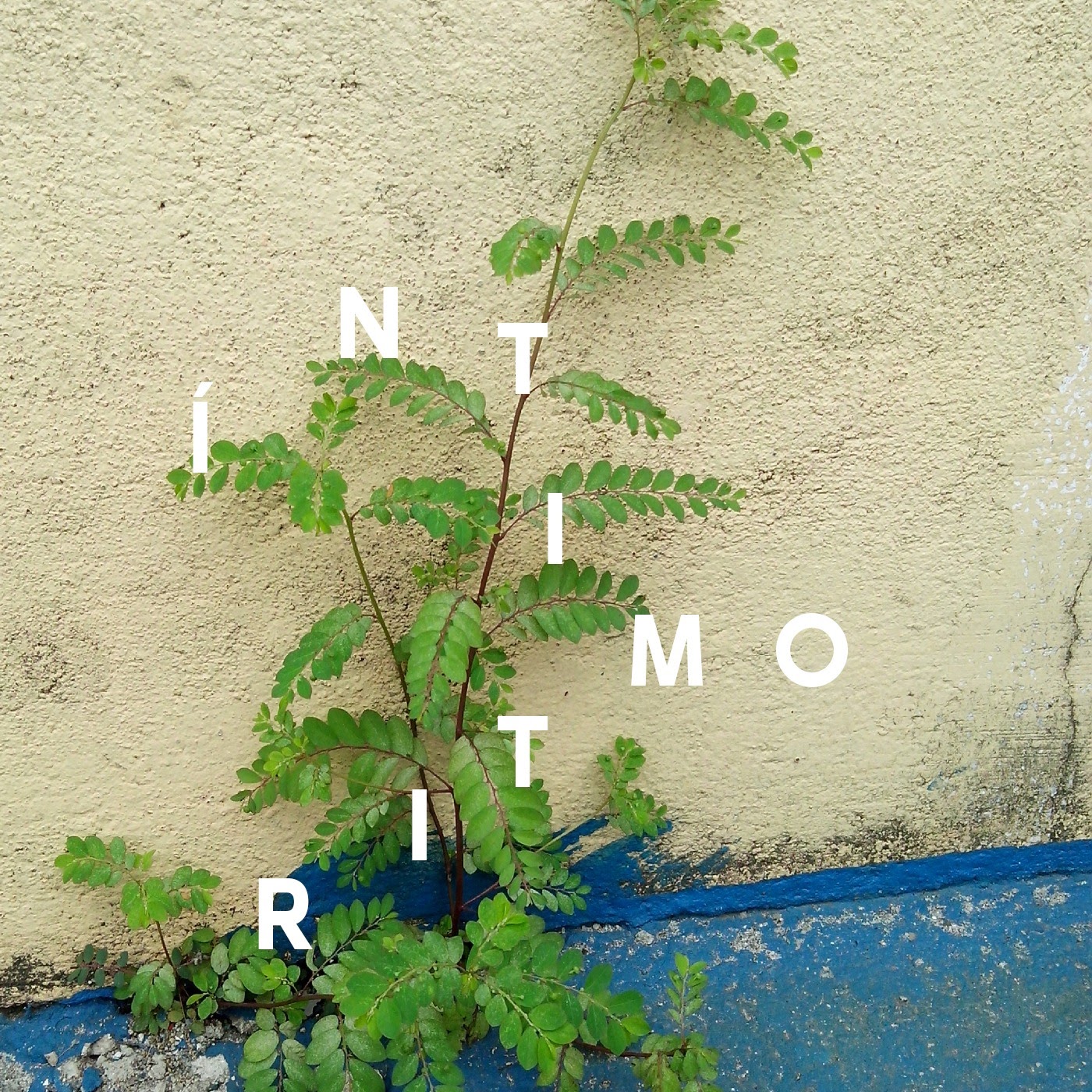 Leo Bianchini expressa amor no single “Íntimo Ritmo”; ouça