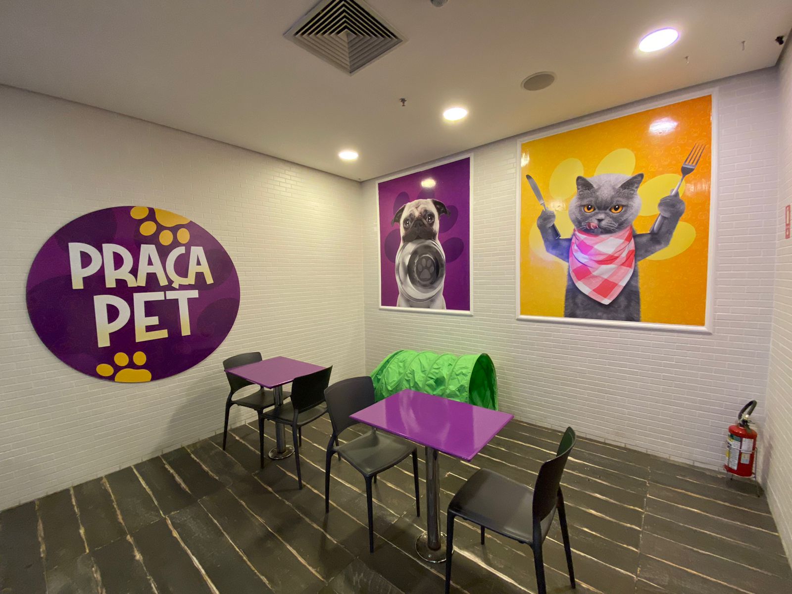 Campinas Shopping terá espaço exclusivo para os pets e feira de adoção