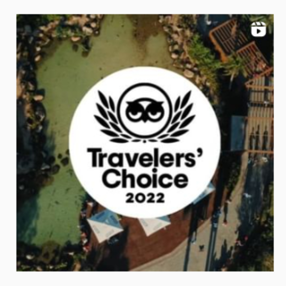 Vinícola Góes conquista o prêmio Travellers' Choice 2022