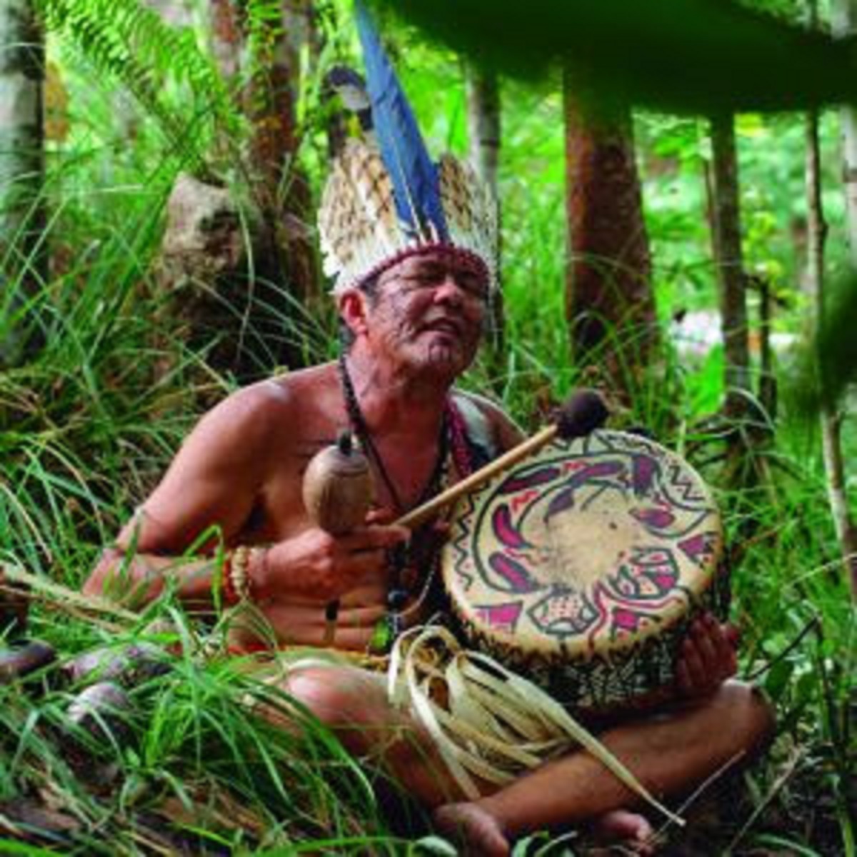 Exibição de curtas no Centro traz reflexões sobre relação do humanos com a natureza