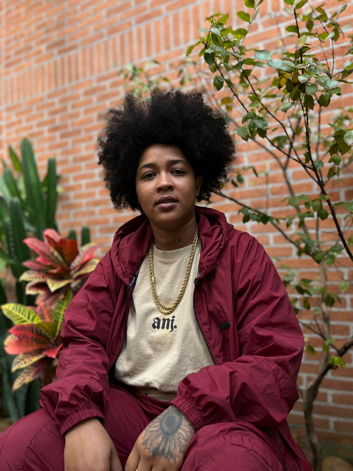 Jardim do Flow promove shows com Rodrigo Ogi, Max B.O. e Clara Lima