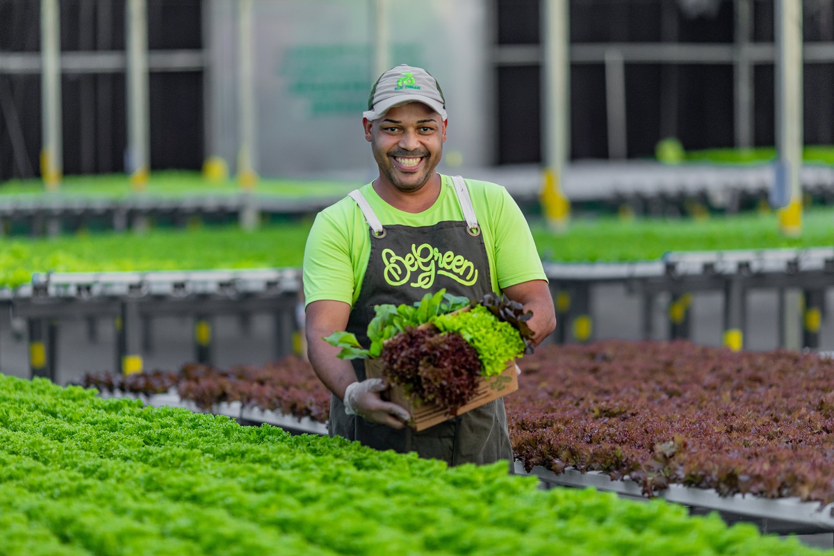 BeGreen oferece visitas gratuitas em fazendas urbanas para educadores
