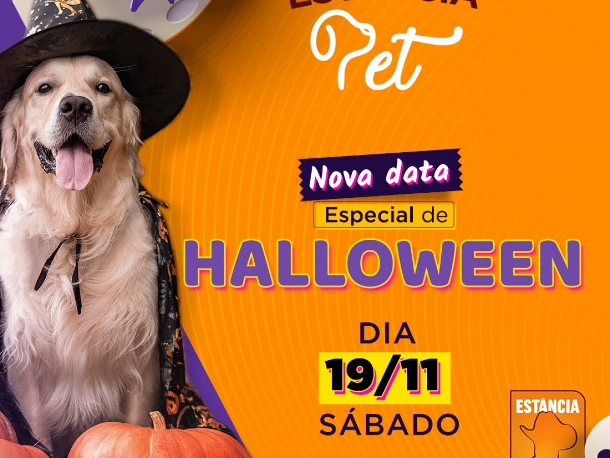 PET – Conservação e Restauro » CINEPET-CR – Halloween 2023