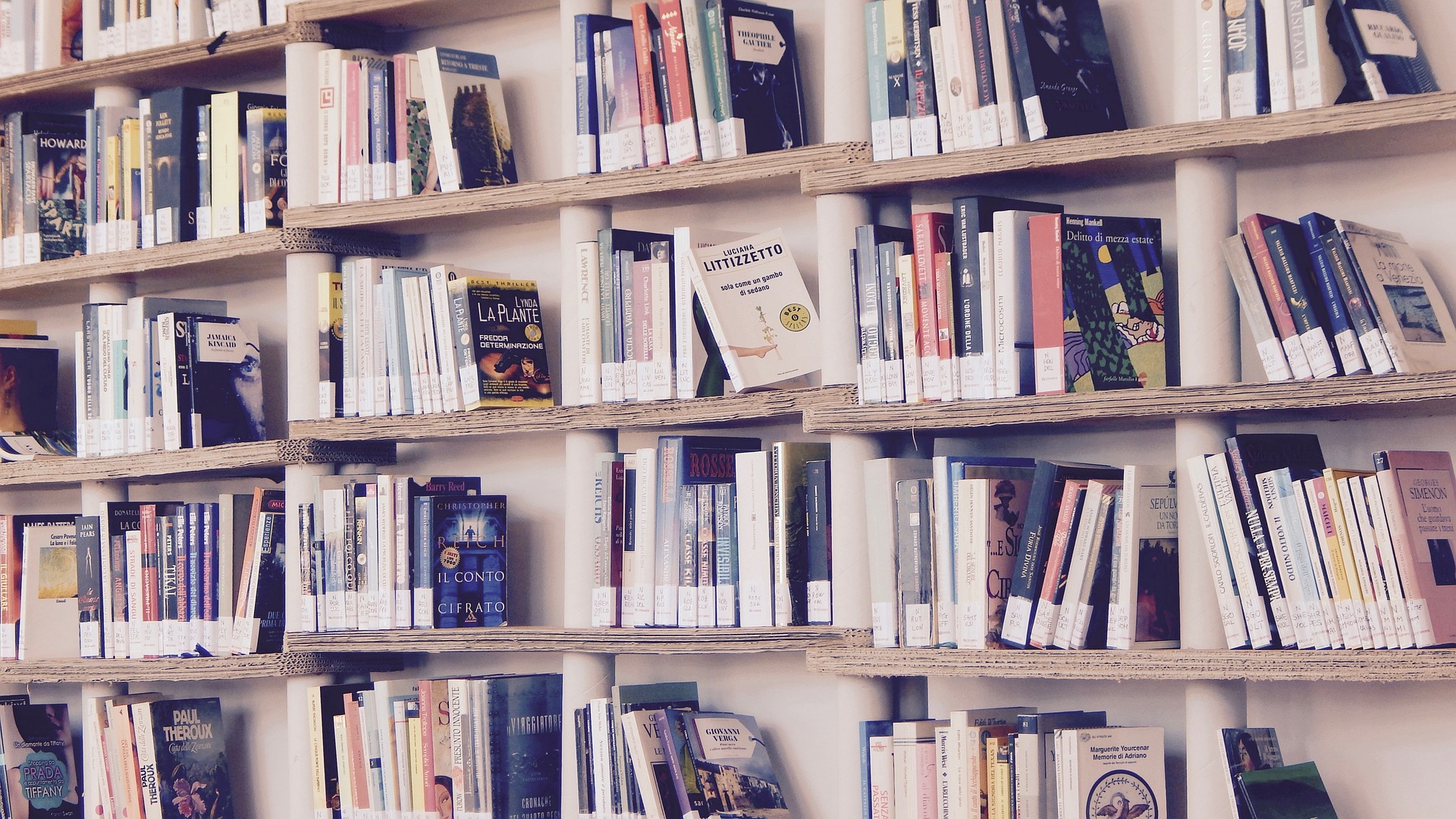 Disal promove ação social com doação de 5 mil livros para todas as idades