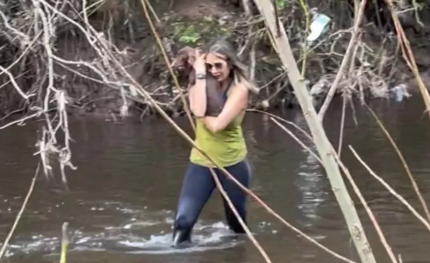 Mulher anda 100 km para encontrar cadela perdida