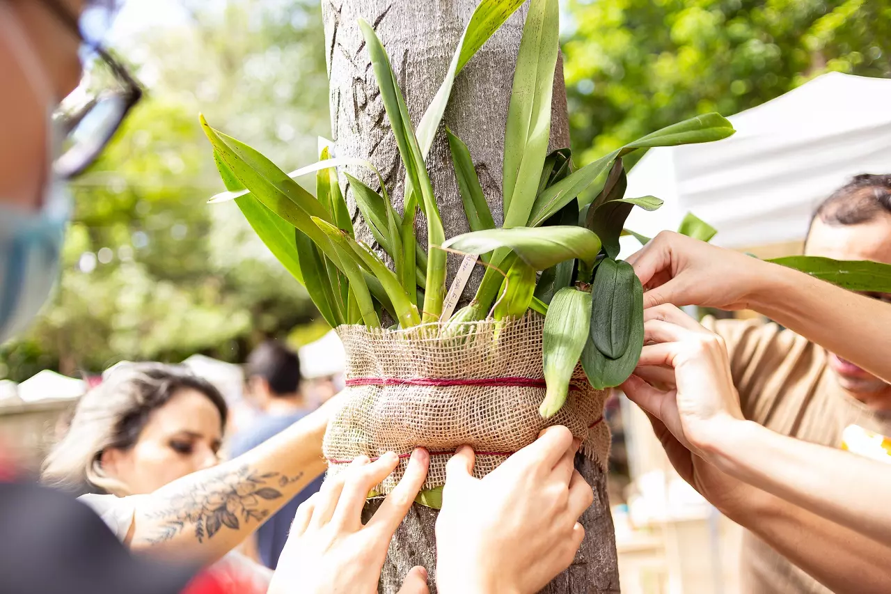 Fair&Sale pré-Páscoa acontece neste domingo na Vila Nova Conceição