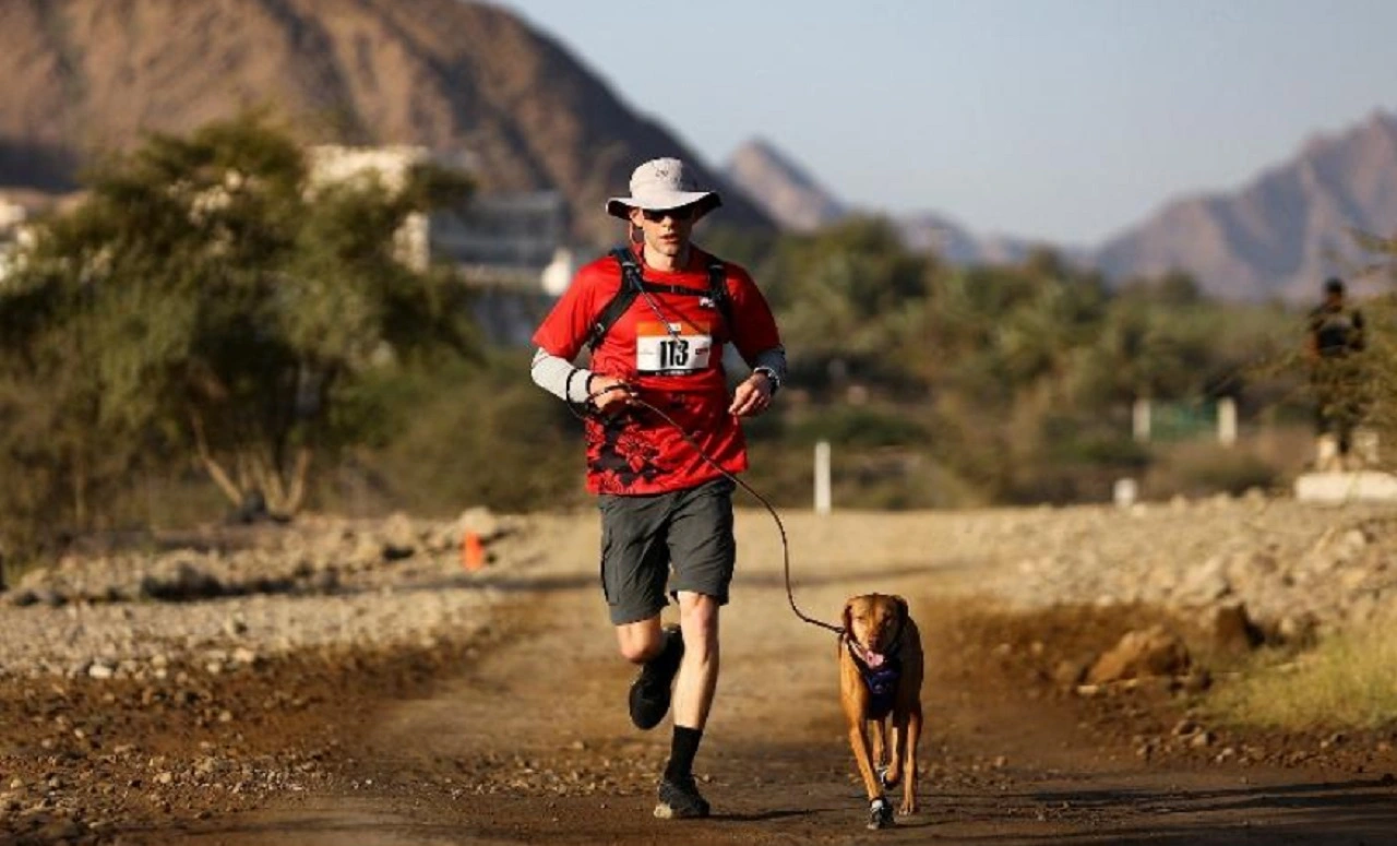 3 cachorros de corrida morrem na França após comer almôndega com veneno