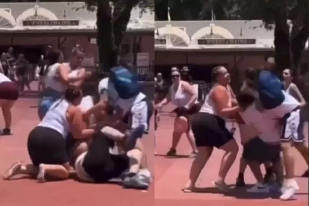 Famílias brigam por cenário para foto no parque da Disney
