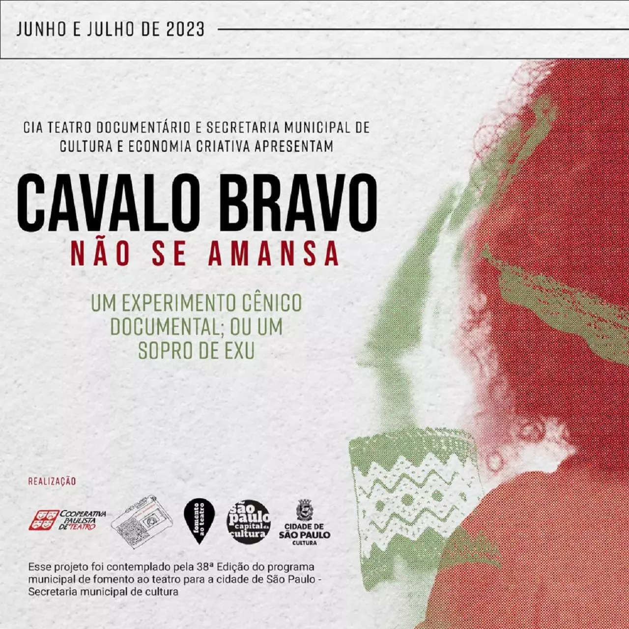 Cavalo – Marcelo Lopes de Lopes