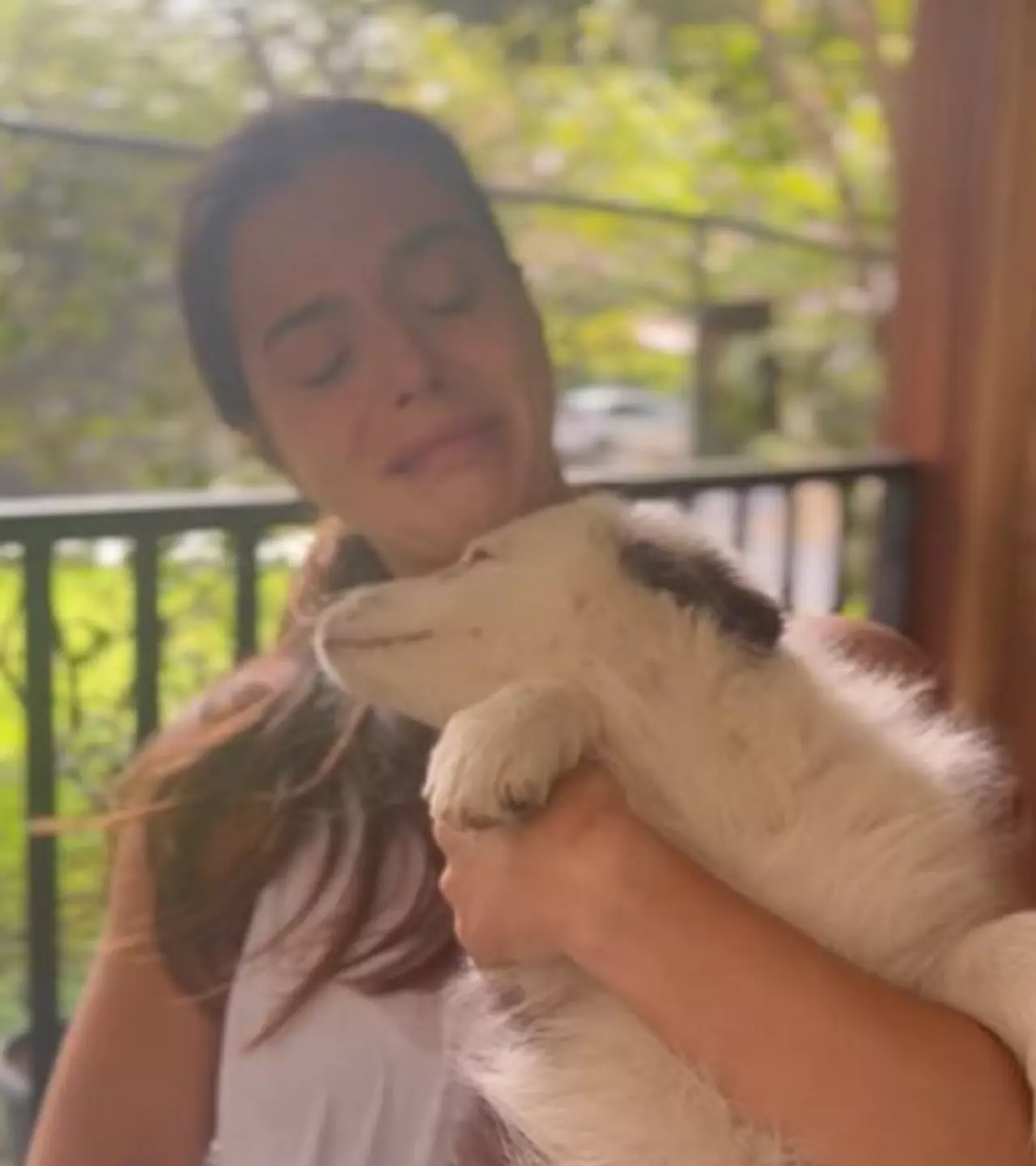 Giovanna Lancellotti chora ao doar filhote de cachorro para Fe Paes Leme