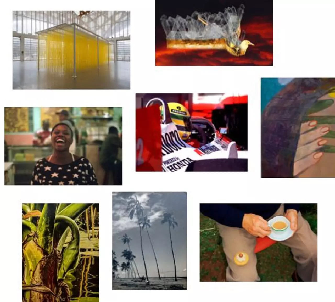 Arte Circuito Jardim Europa celebra o Dia Internacional da Fotografia