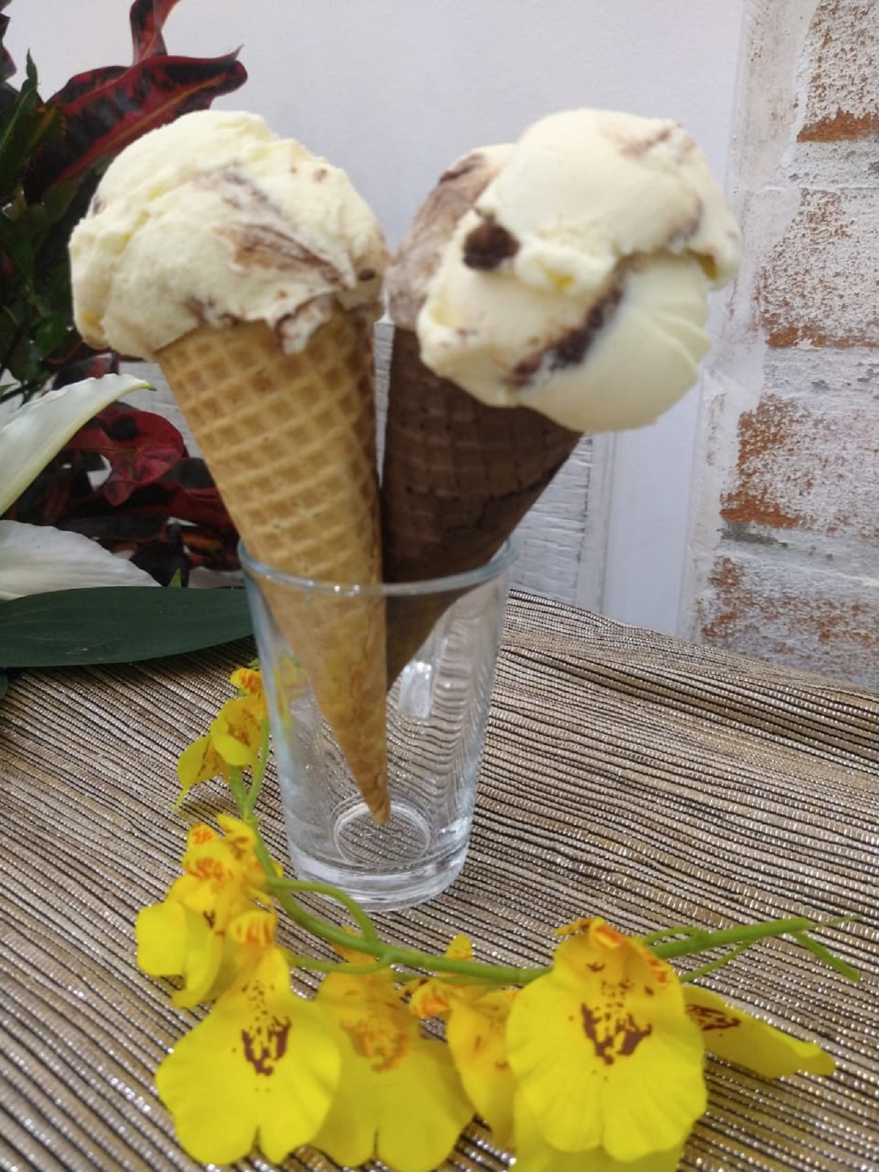Gelato de Creme Holandês com Cookies é a novidade do mês da DAMP Sorvetes