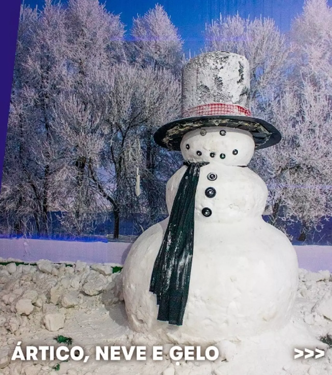 "Ártico Neve e Gelo" permanece no Shopping Interlagos até janeiro